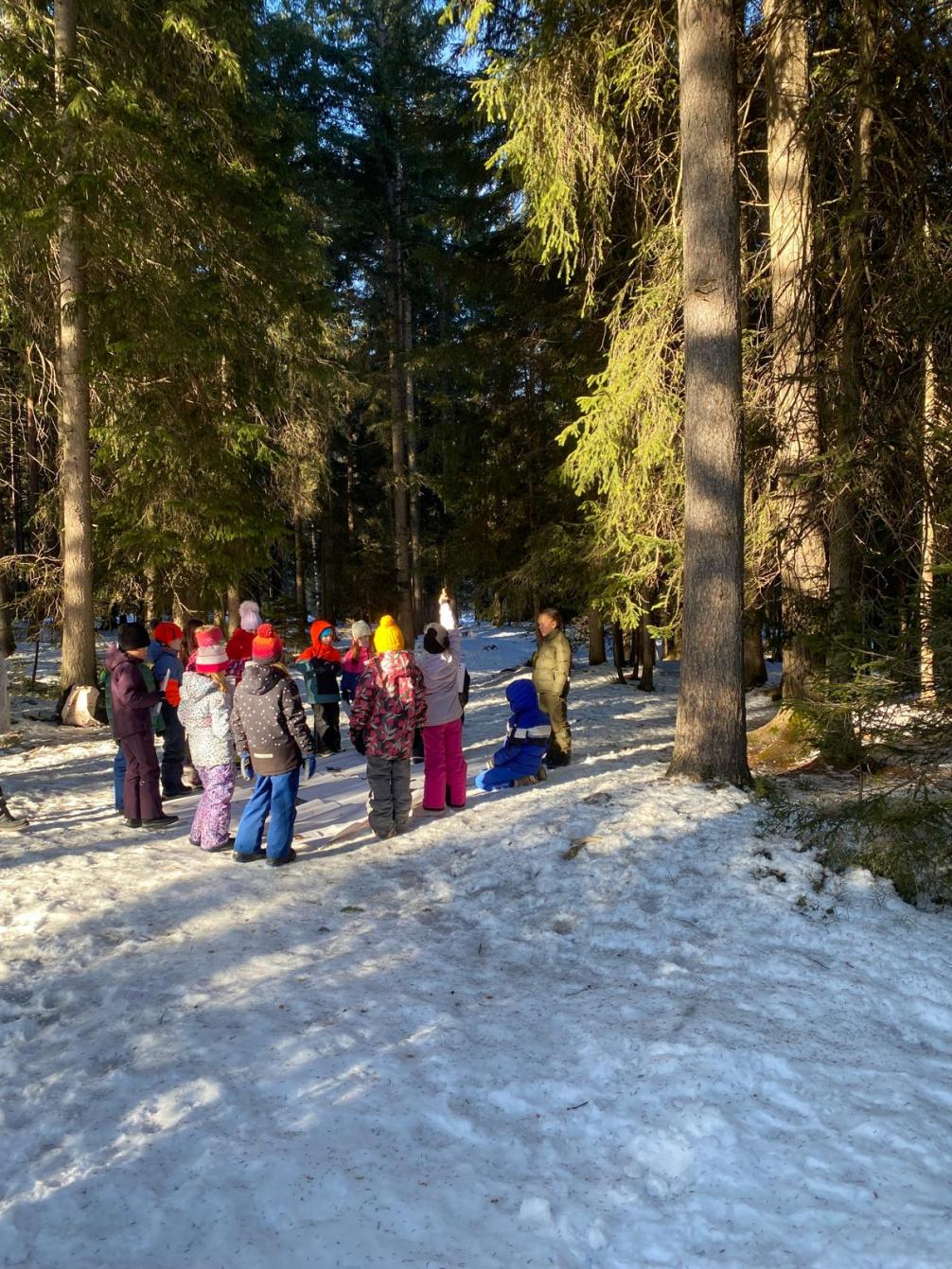 © VS Seefeld Natopia 2026 2