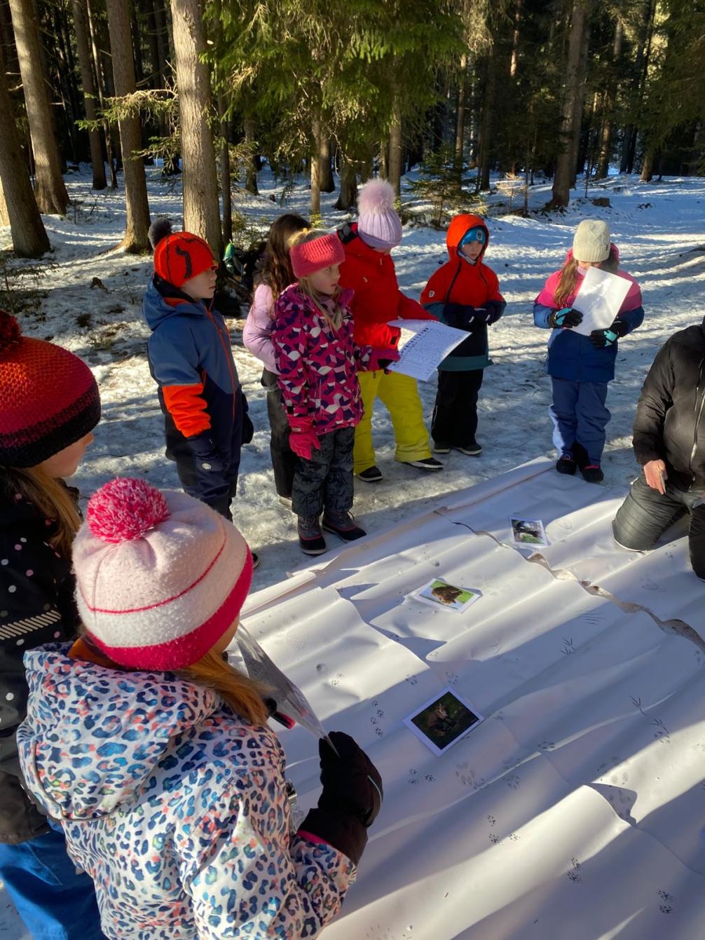 © VS Seefeld Natopia 2026 3