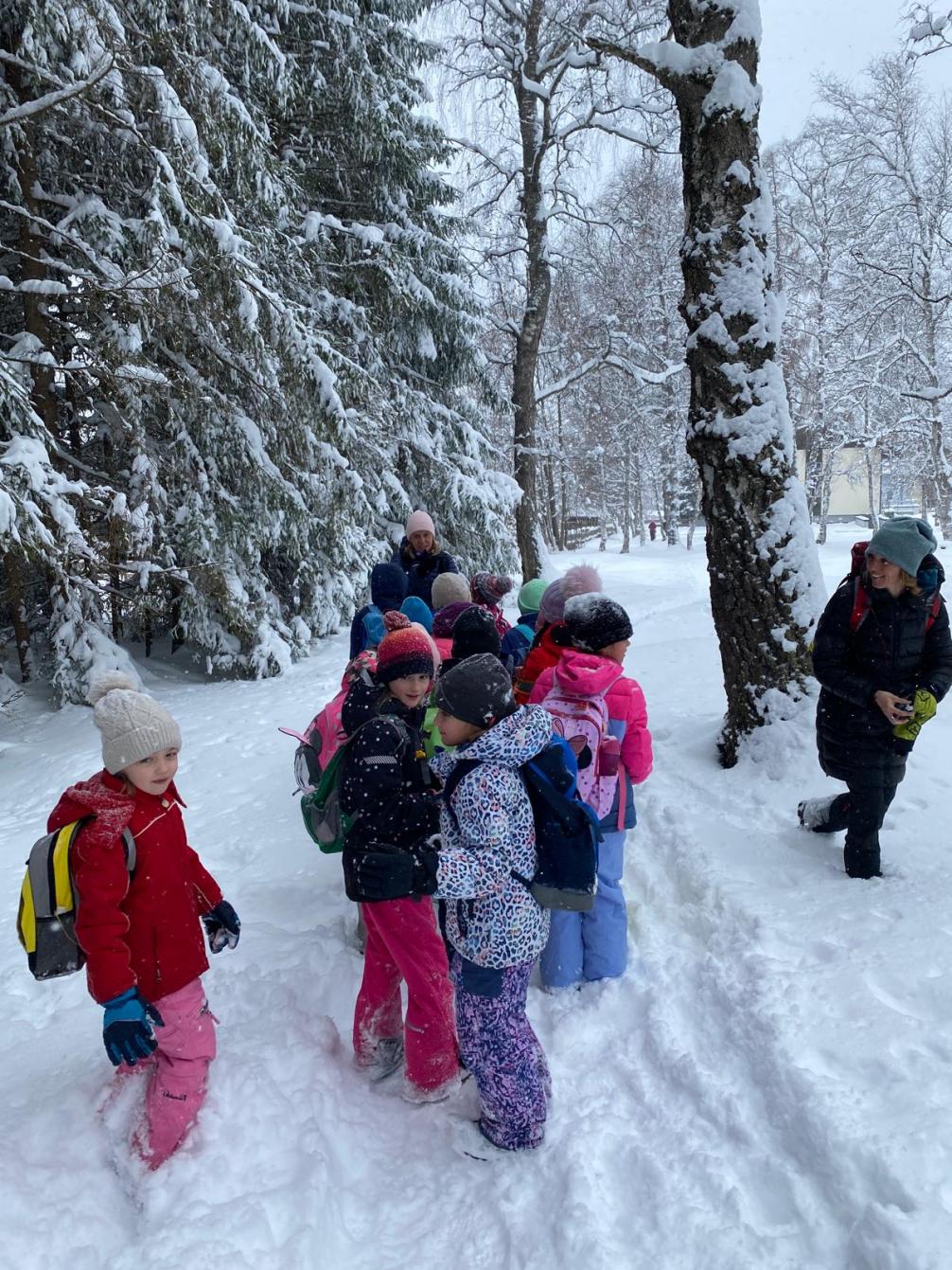 © VS Seefeld Naturpark
