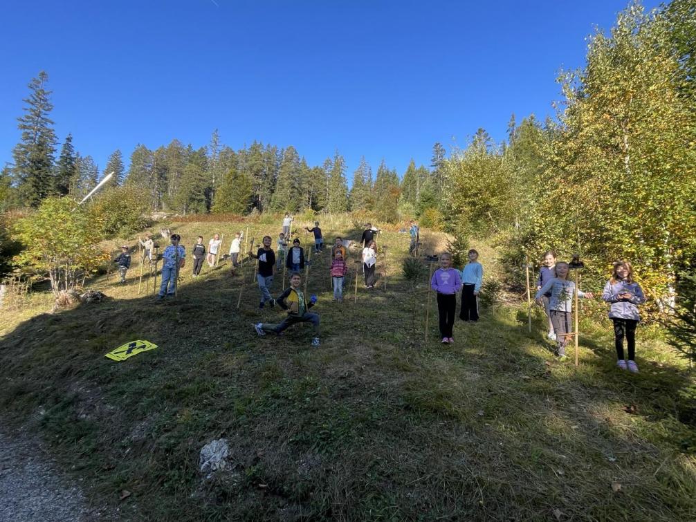 © VS Seefeld Bäume 1