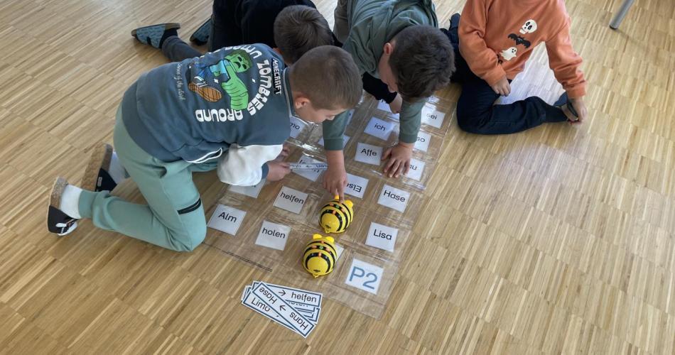 Beebots