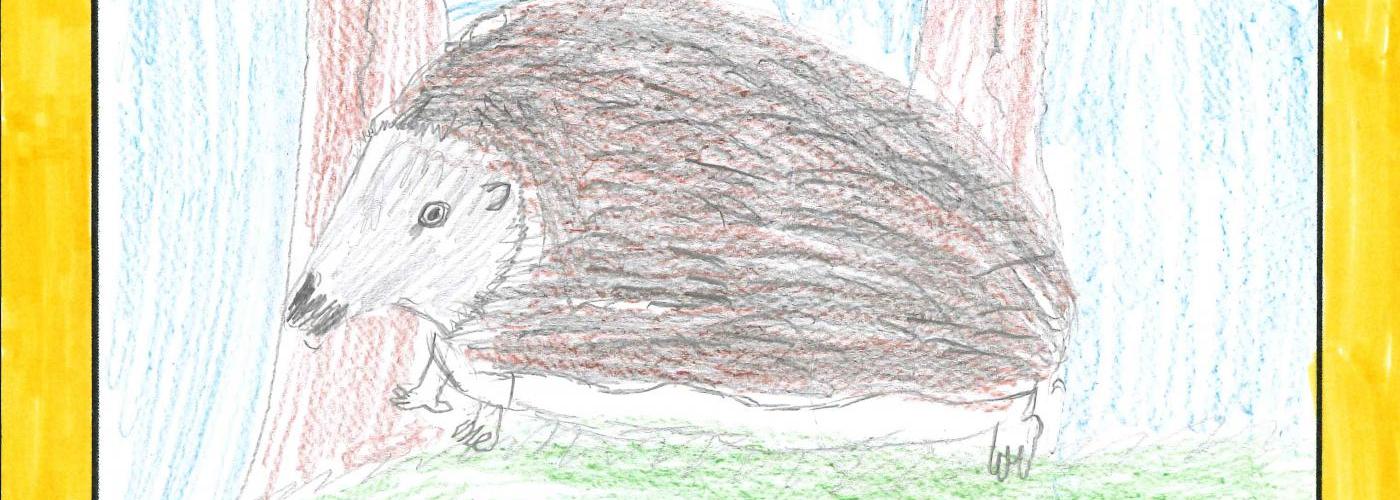 Igel1
